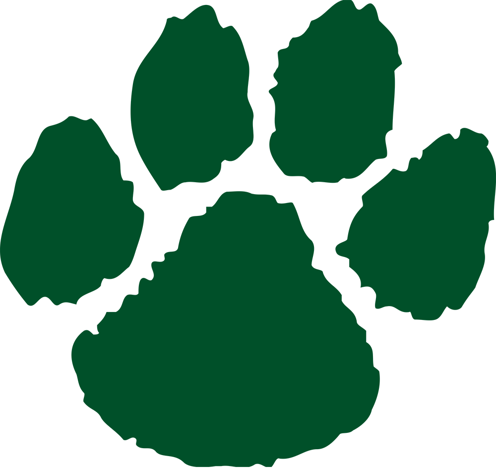 Northern Michigan Wildcats 0-Pres Alternate Logo v2 diy DTF decal sticker